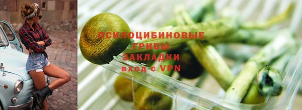 мдма Богородск