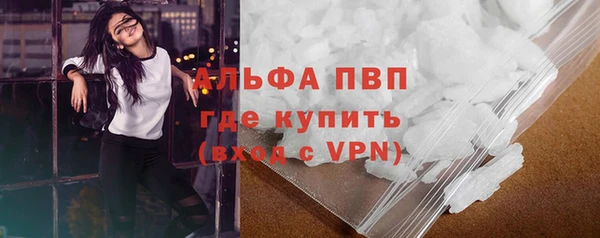 молекула духа Богородицк