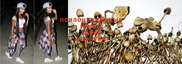 молекула духа Богородицк