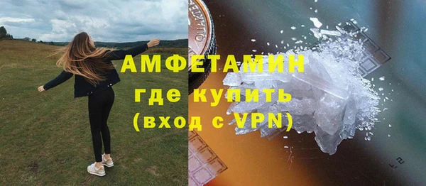 молекула духа Богородицк