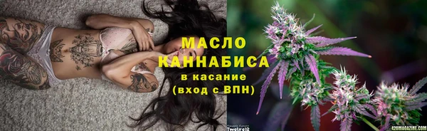 молекула духа Богородицк